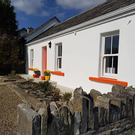 The Coral דולין